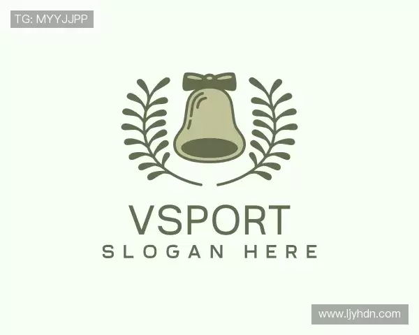 了解VSport